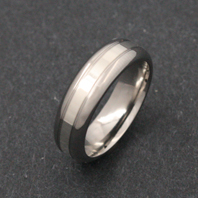 Titanium Ring - Silver Darius